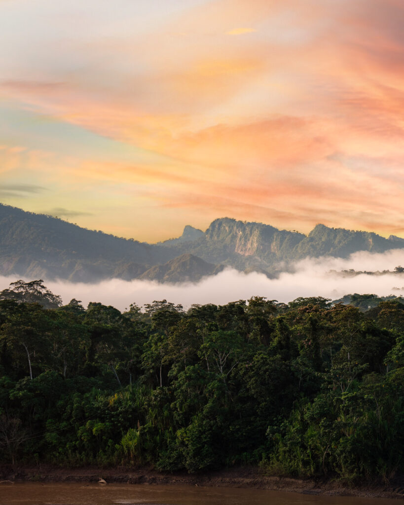 DAD06492-Bearbeitet-819x1024