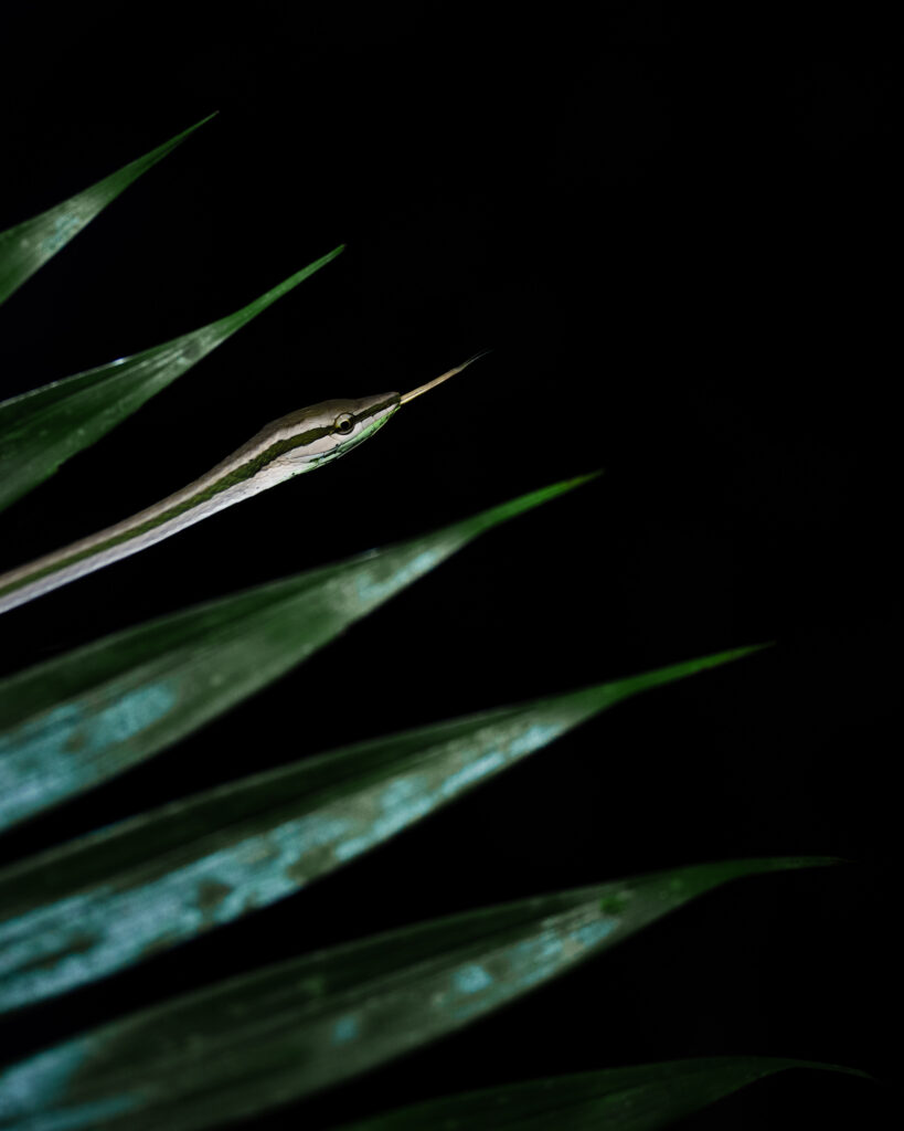 DSC04508-Bearbeitet-Bearbeitet-Bearbeitet-2-819x1024